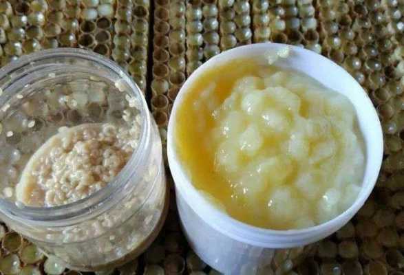 冻蜂王浆的作用与功效-冻蜂王浆怎么吃