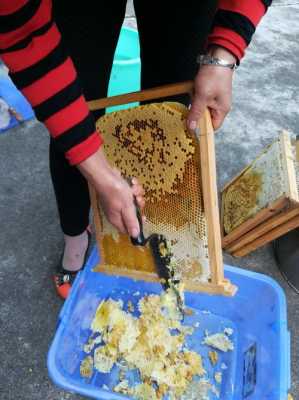 野生蜜蜂巢要怎样取蜂蜜-野生蜂蜜蜂巢怎么使用