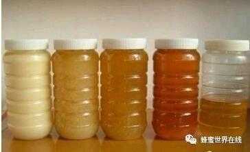 固体蜂蜜有多少种类
