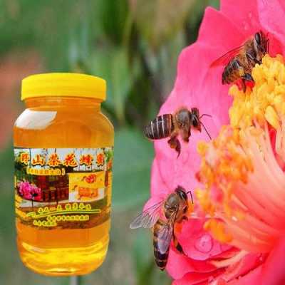 茶花蜂蜜的功效与作用及食用方法