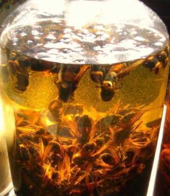 蜜蜂和蜂蜜泡酒有什么功效呢