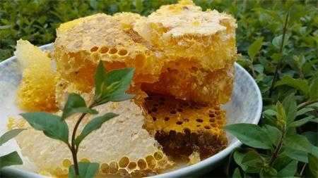 鲜蜂巢怎么吃怎么保管,新鲜蜂巢 