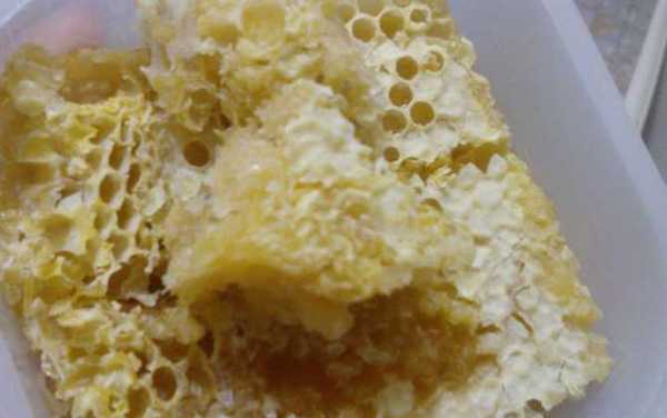 蜂巢蜂蜜里的蜡能吃么-蜂巢蜜里的蜂蜡是什么