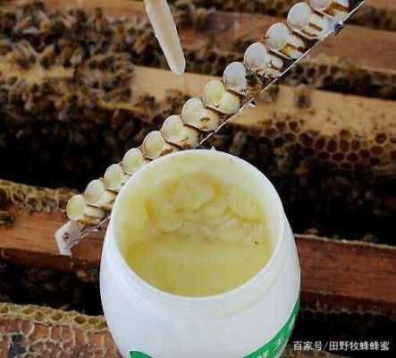 一箱意蜂一年产多少蜂王浆