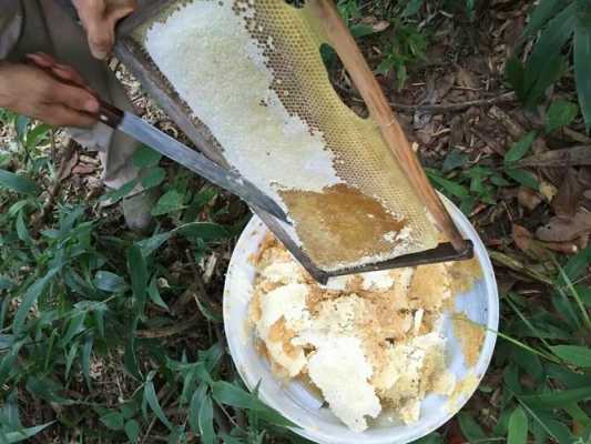  蜂蜜怎么取出「蜂蜜怎么取出来土方法」