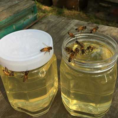 一箱蜜蜂产蜂蜜多少钱（一箱蜜蜂价格多少钱）