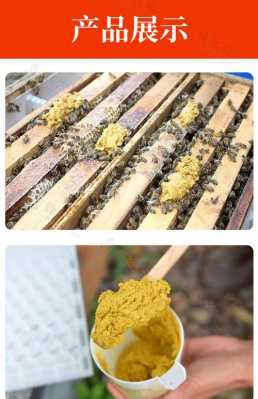 干花粉怎么喂蜜蜂最好-干花粉怎么喂蜜蜂