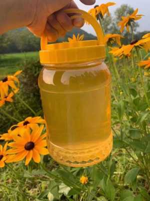  椴树放蜂蜜有什么作用「椴树蜂蜜有什么好处」