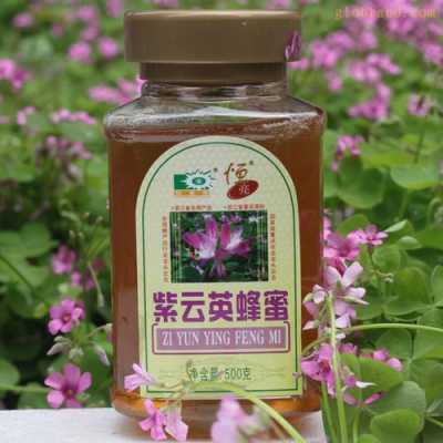 紫云英蜂蜜多少钱一斤（紫云英蜂蜜和普通蜂蜜哪个好）