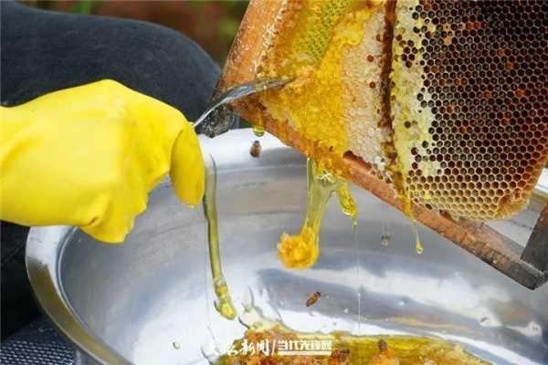 取蜂蜜为什么要刮蜂蜡
