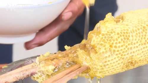 怎么把蜂巢蜜里的蜜取出来