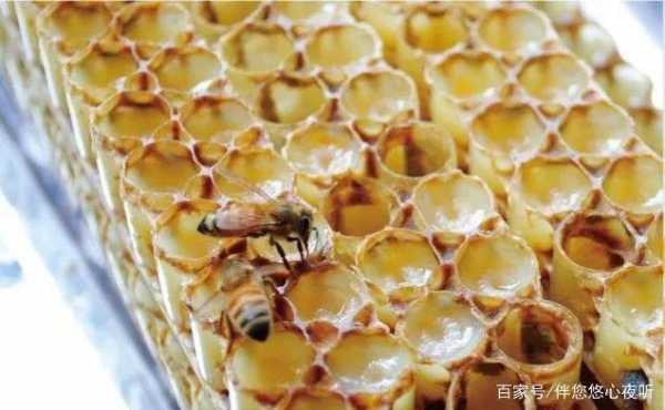 怎么分辨蜂蜜是不是蜂王蜜_怎么样辨别蜂王