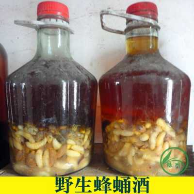 蜂蛹酒的功效和作用,蜂蛹泡酒的功效