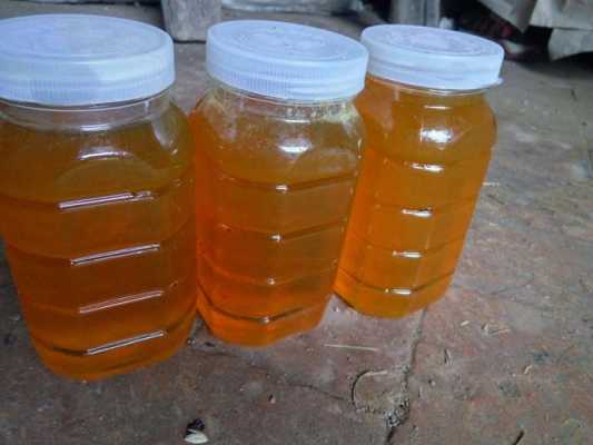 土蜜蜂蜂蜜多少钱一斤_土蜂蜜价格多少钱一箱