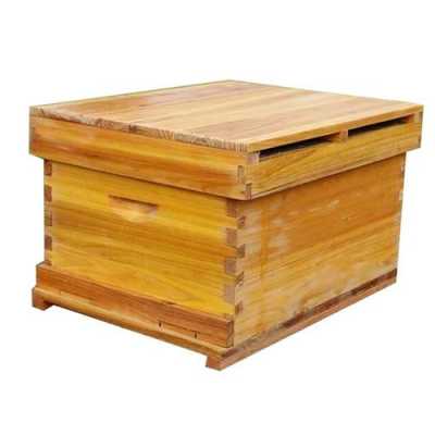 密蜂塑料箱多少钱一个,密蜂塑料箱多少钱一个合适 