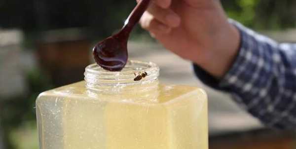 刚割出来的蜂蜜怎么保存,刚割下的蜂蜜怎么弄成蜂蜜水 
