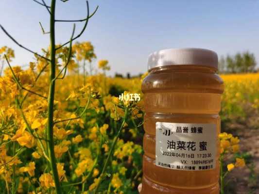 油菜花蜂蜜的特点与功效-油菜花蜂蜜多少钱一斤