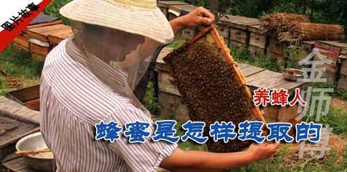 野生蜂蜜要怎么吃安全的简单介绍