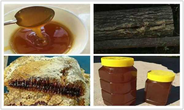土蜂蜜价格一般多少钱一公斤-土蜂糖多少钱一斤