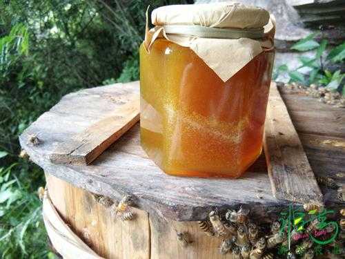 土蜂蜜价格一般多少钱一公斤-土蜂糖多少钱一斤