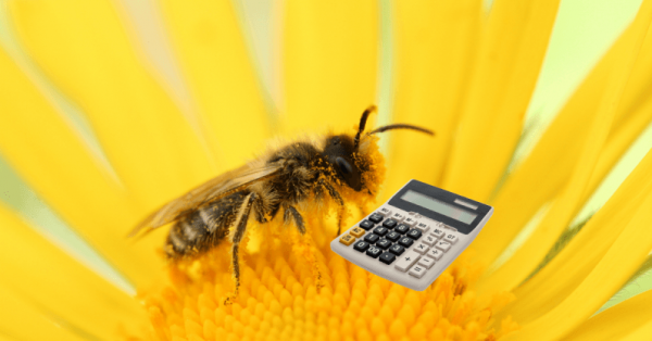 蜜蜂计算能力