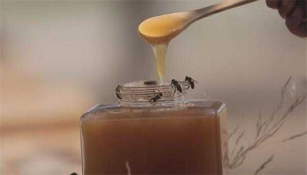 喂糖蜂蜜对人有害吗