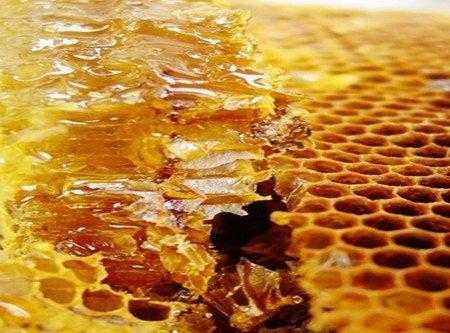 蜂胶是蜜蜂怎么产出的_蜂胶是蜜蜂怎么产出的视频