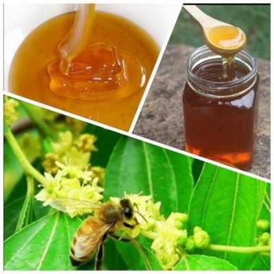 枣花蜂蜜有什么营养