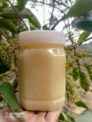 鸭脚木蜂蜜每天吃多少