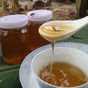 中华土蜂蜜功效与作用是什么呢-中华土蜂蜜功效与作用是什么