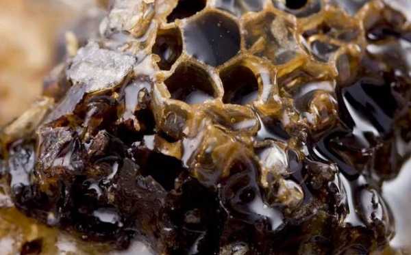 蜂胶过敏的症状是什么