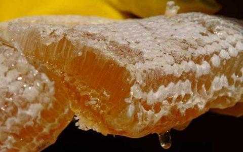  养蜂蜂蜜多少钱一斤价格表「家养蜂蜜多少钱1斤」