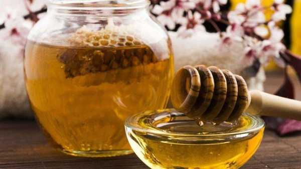 蜜蜂和什么好-蜜蜂和什么吃可以减肥