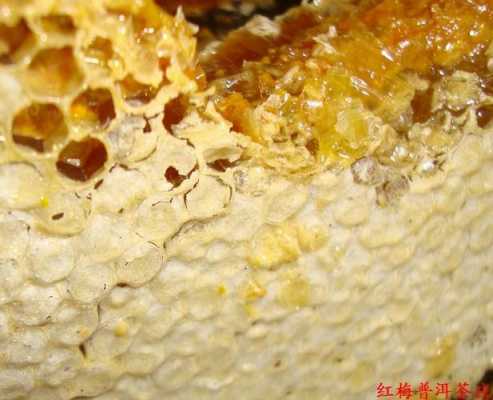 蜂巢蜜里的蜂巢是用啥做的 蜂巢里面的蜂蜜怎么熬
