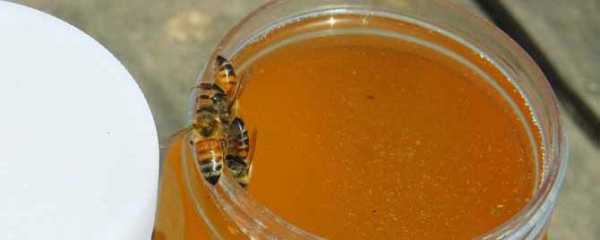蜜蜂多少钱一斤蜂蜜多少钱一斤