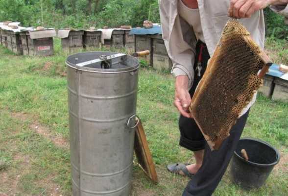  自养蜜蜂怎么收蜂蜜「养蜂人怎么收集蜂蜜」