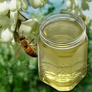 洋槐花蜂蜜为什么那么甜,槐花蜂蜜与洋槐蜜有何区别 