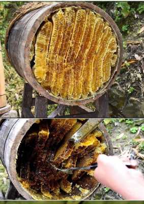 土蜂巢蜜多少钱一斤-土巢蜜多少钱一斤