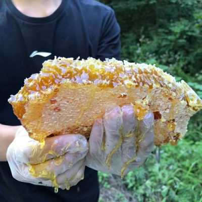 土蜂巢蜜多少钱一斤