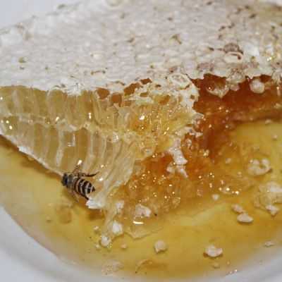 蜂蜜带蜂巢的怎么吃啊（蜂蜜带巢的好不好）