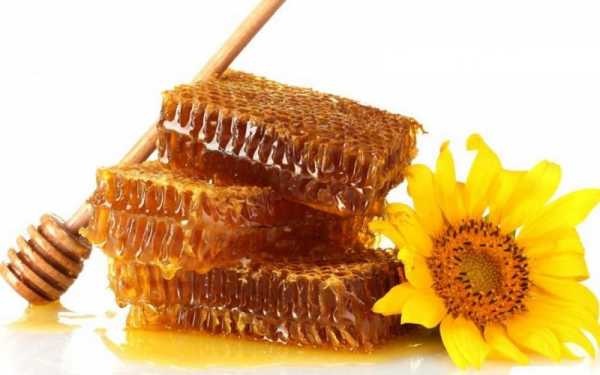 秋天的蜂蜜是什么花的_秋季的蜂蜜是什么蜂蜜