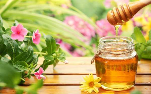 秋天的蜂蜜是什么花的_秋季的蜂蜜是什么蜂蜜