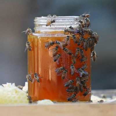 为什么有些蜂场没有蜜可卖,为什么有的蜂窝没有蜂蜜 