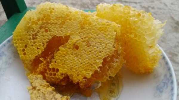 蜂巢的吃法和效果-蜂巢什么时候吃