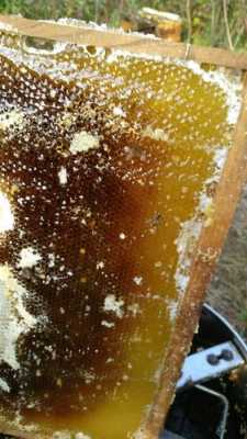 蜂蜜块白色表面是什么