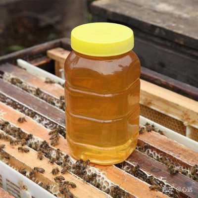  南方主要产什么蜂蜜「南方的蜂蜜和北方的蜂蜜有什么区别」