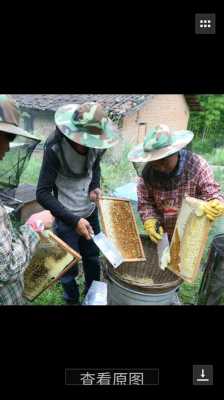 蜂蜜加工视频 采来蜂蜜怎么加工