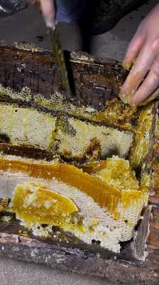 蜂巢里面的蜜怎么弄出来-蜂巢蜜里蜂巢怎么吃