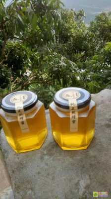 云南野蜂蜜多少钱一斤