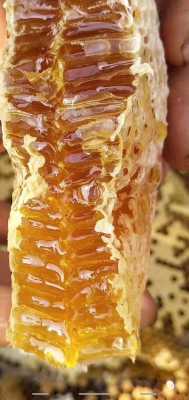 云南野蜂蜜多少钱一斤